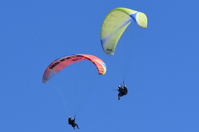 Tandem Paragliding Flights From Vik - Additional Activities Nearby