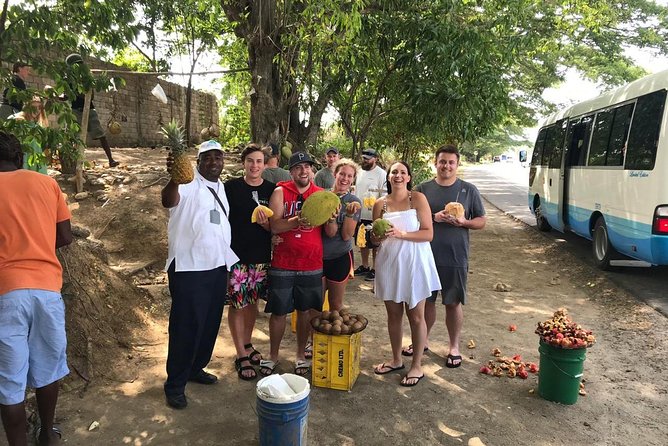 Taste of Jamaica Food Tour From Ocho Rios - Local Fruit Stand and Breadnut Hill