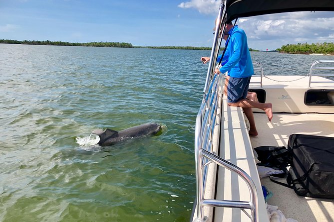 Ten Thousand Islands Boat Tour up to 12 People - Tour Booking