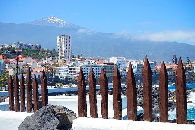 Tenerife Full Island Tour - Policies