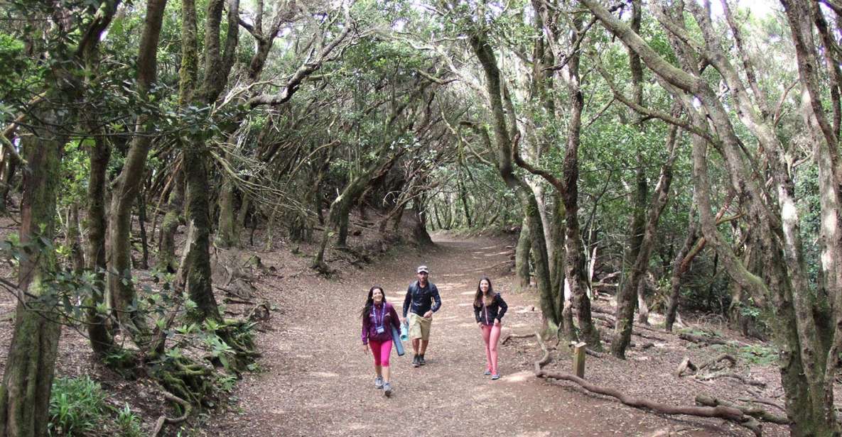 Tenerife: Guided Mindful Hike in Anaga Biosphere Reserve - Additional Notes