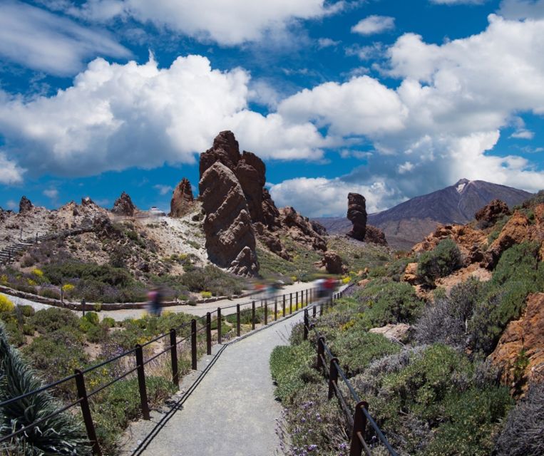 Tenerife: Teide National Park and Dolphins Sailboat Tour - Not Included in the Tour