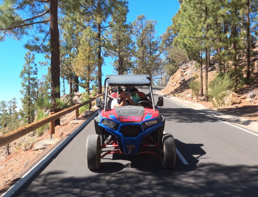 Tenerife: Volcano Teide Buggy Tour With Wine Tasting & Tapas - Frequently Asked Questions