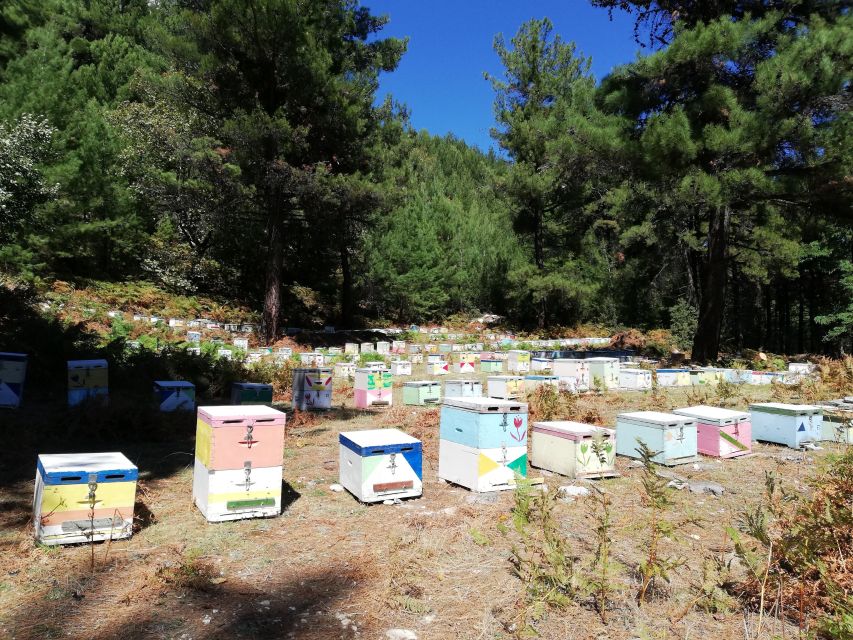 Thasos Island: Private Jeep Tour - Awe-Inspiring Mountain Vistas