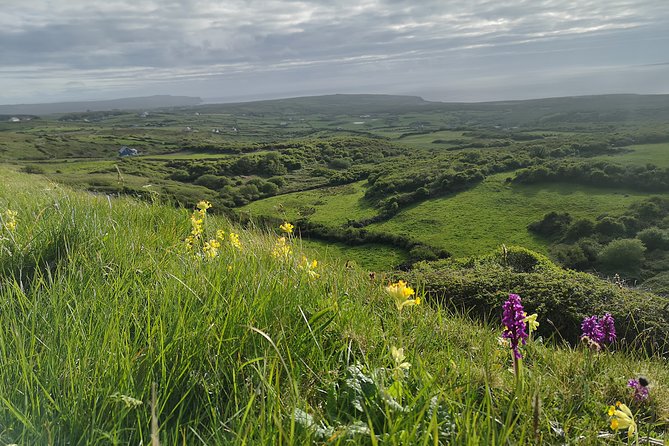 The Burren and Cliffs of Moher Full Day Private Tour From Galway - Customizing Your Tour