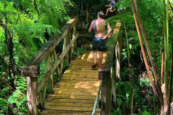 The El Yunque National Forest and Luquillo Beach Tour - Explore Puerto Ricos Natural Beauty