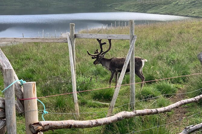 The VIP North Cape Tour (Honningsvåg - Skarsvåg - the North Cape) - Scenic Views and Avoiding Crowds