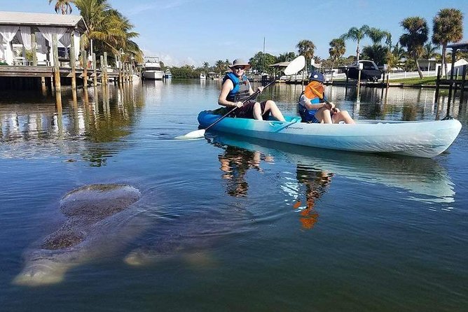 Thousand Island Mangrove Tunnel, Manatee & Dolphin Kayak Tour W/Cocoa Kayaking - Equipment and Meeting Point