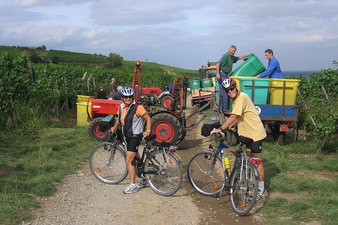 Through Alsace Vineyards and Wine Villages Private Bike Tour - Inclusions and Exclusions