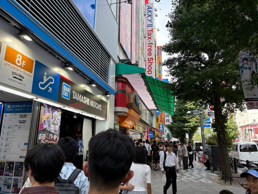 Tokyo: Akihabara Anime and Gaming Tour Review - Pricing and Booking Options