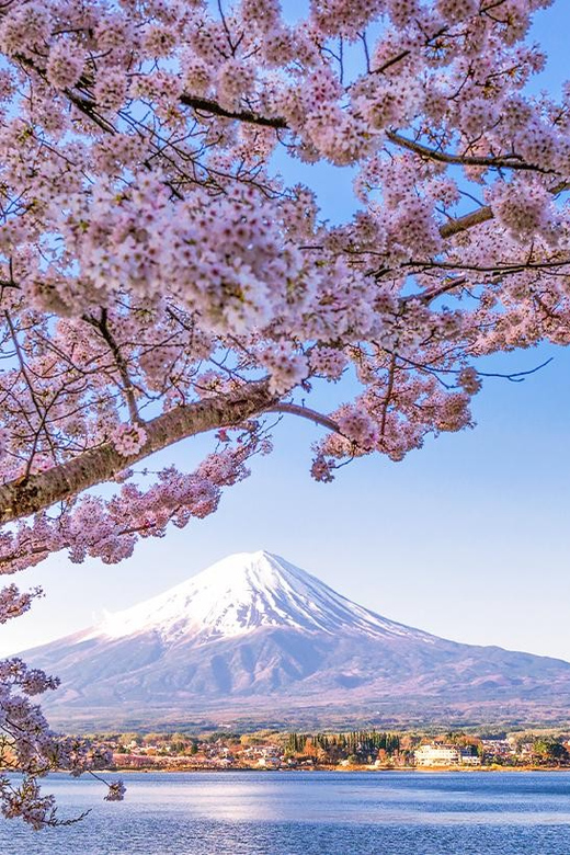 Tokyo: Mount Fuji, Kawaguchi Lake, Oshino Hakkai 1-Day Trip - Included Services and Amenities