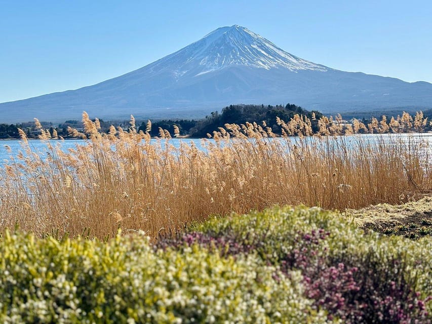 Tokyo: Mount Fuji or Hakone Customized Private Full-Day Trip - Panoramic Views