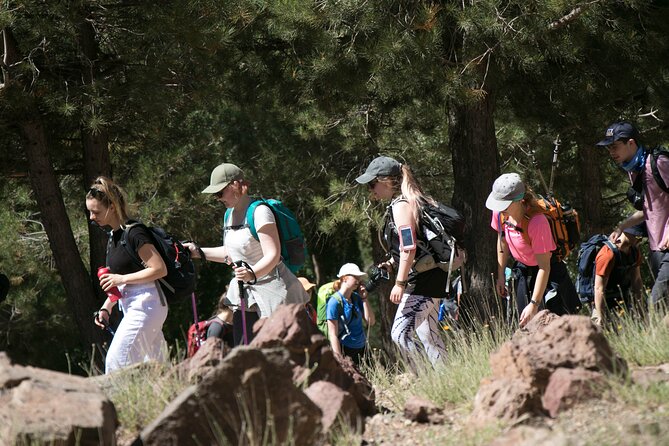 Toubkal Trek - 2 Days - Return to Marrakech