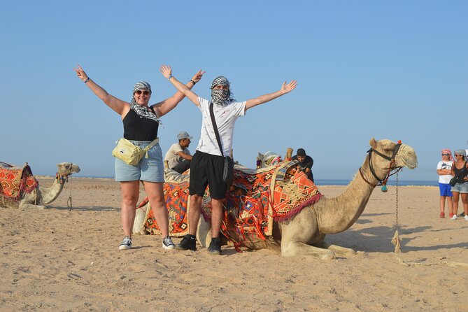 Tour in Hurghada Arabian Night and Star Watching - Booking and Contact