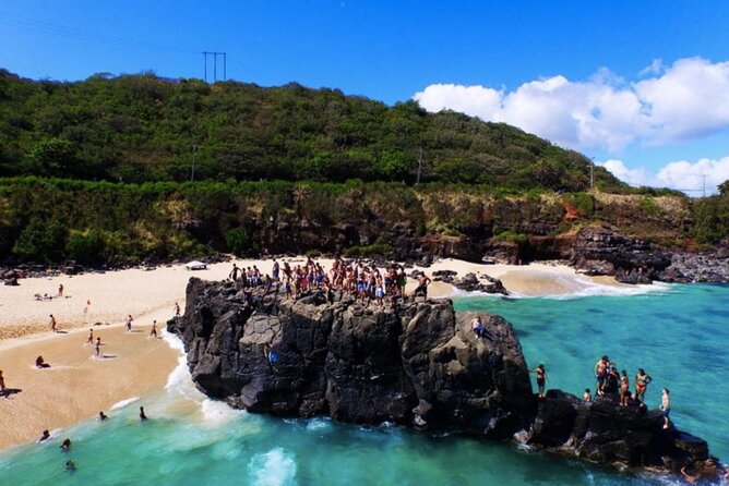 Tour of North Shore & Waimea Waterfall - Stunning Natural Scenery and Attractions