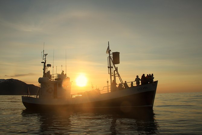 Traditional Whale Watching Tour From Husavik - Cultural Immersion