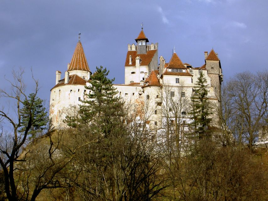 Transylvania: Cultural Full-Day Trip by Minivan - Peles Castle and Sinaia Monastery