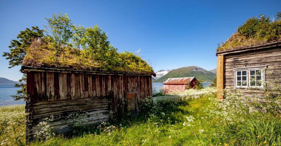 Tromsø: Arctic Landscapes Sightseeing With Citizen Science - Meeting Point