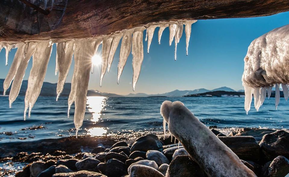 Tromsø: Arctic Sightseeing Tour & Citizen Science Project - Diverse Landscapes of Kvaløya