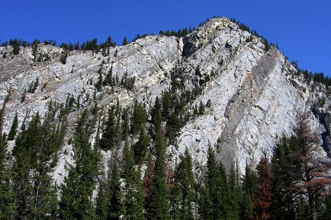 Tunnel Mountain Trail: a Smartphone Audio Nature Tour - Preparing for the Tour