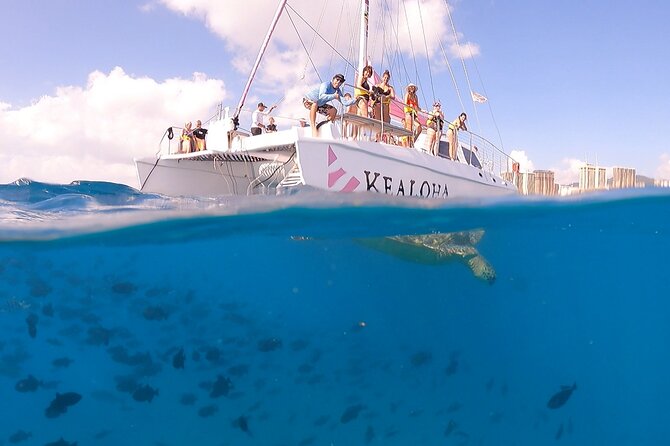 Turtle Snorkeling Adventure in Waikiki (Boat Tour) - Cancellation Policy and Refunds