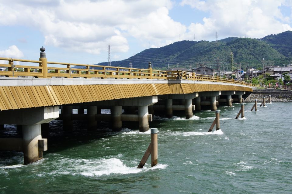 Uji: Green Tea Tour With Byodoin and Koshoji Temple Visits - Tea Tasting Experience