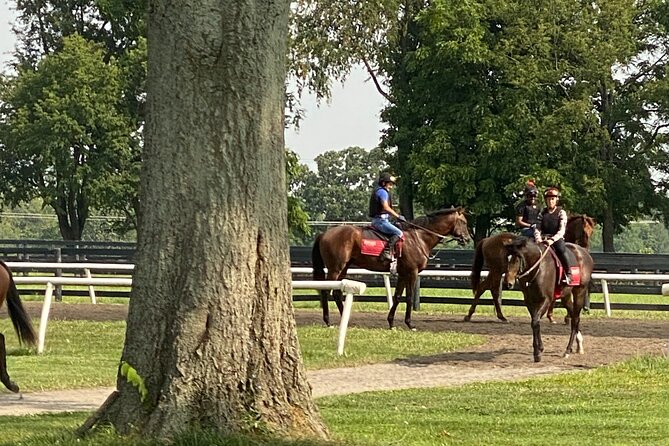 Unique Horse Farm Tours With Insider Access to Private Farms - Lexingtons Horse Programs and Farms