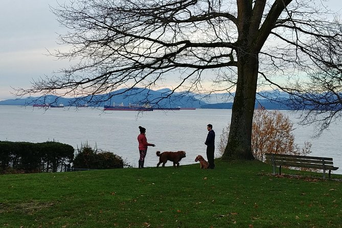 Vancouver City Highlights Explorer Private Tour - Weather Conditions