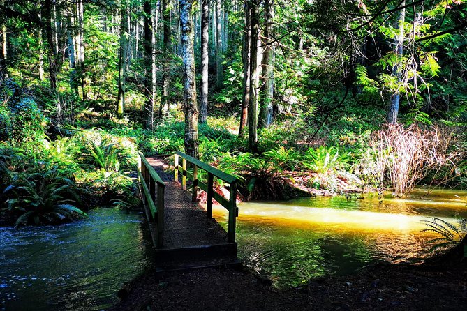 Vancouver Island Rainforest Guided Hike With Private Guide - Private Tour/Activity