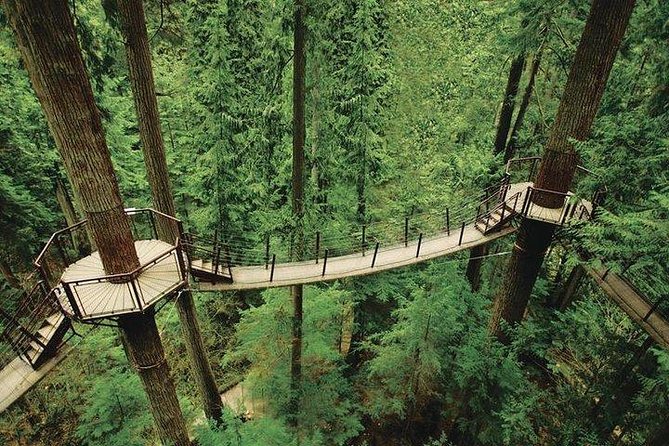 Vancouver Perfect Day Tour Grouse Mountain`& Capilano Suspention Bridge Private - Tour Logistics and Policies