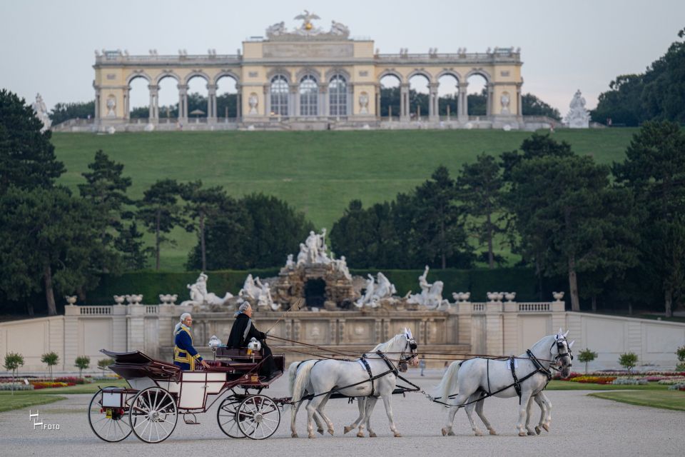 Vienna: Carriage Ride Through Schönbrunn Palace Gardens - Inclusions of the Carriage Ride