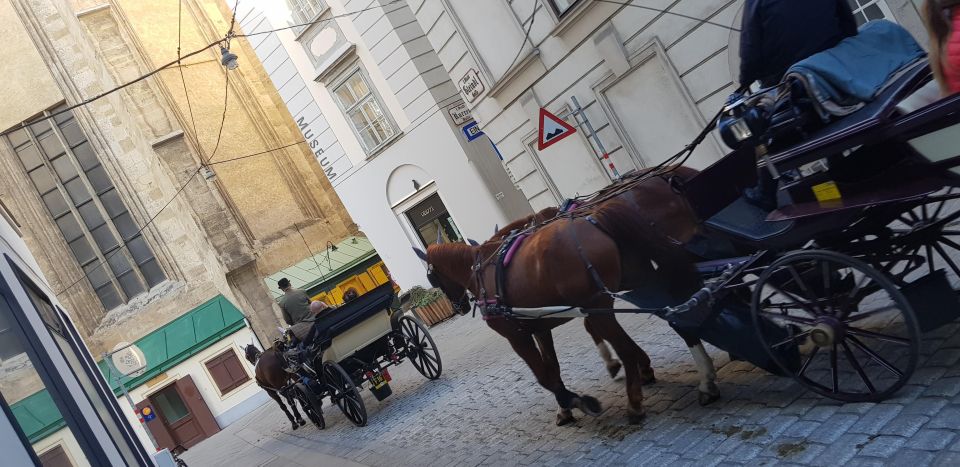 Vienna: Highlight Walking Tour in Downtown - Inclusions and Accessibility