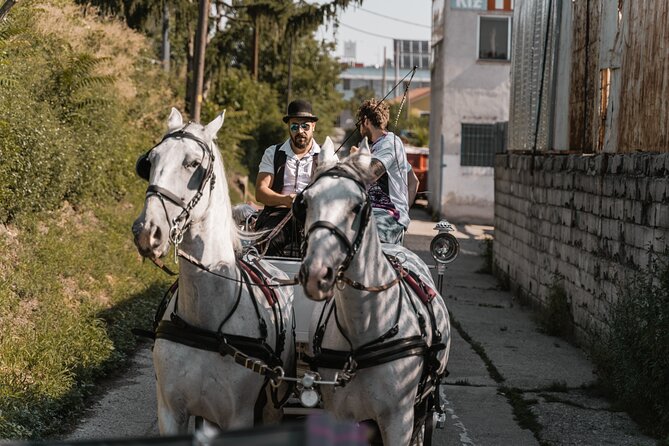 Vienna Horse-drawn Carriage Guided Tour - Exploring Viennese Landmarks