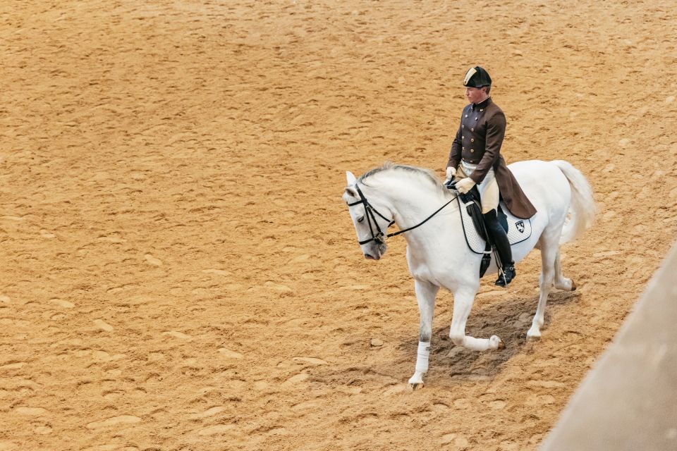 Vienna: Spanish Riding School Training - Accessibility for Visitors