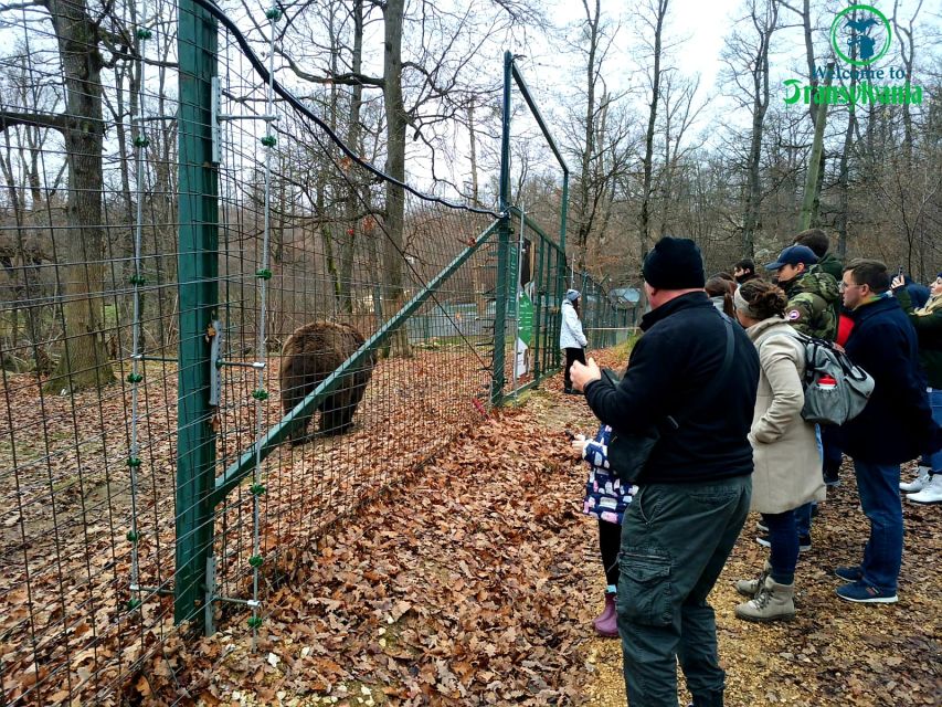 Visit Bear Sanctuary and Bran Castle From Brasov - Language and Pick-up/Drop-off