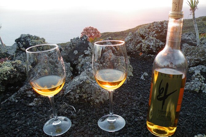 Visit Bodegas Tegueguía Winery in La Palma With Wine Tasting - Additional Tips for Visitors