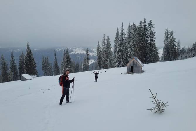 Vladeasa Peak and Brides Waterfall Day Hike - Attraction Highlights