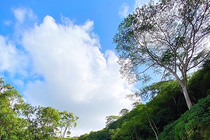 Wailua River and Secret Falls Kayak and Hiking Tour on Kauai - Preparation Tips