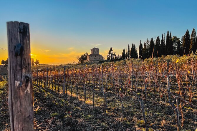 Walking Tour of Chianti Classico With 3 Organic Wine Tasting and Lunch - Tuscan Lunch With Specialties