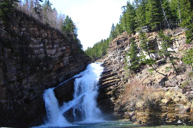 Waterton Lakes National Park 1-Day Tour From Calgary - Traveler Information