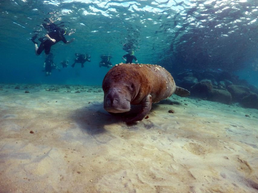 West Palm Beach: Private Peanut Island Boat & Snorkel Tour - Frequently Asked Questions