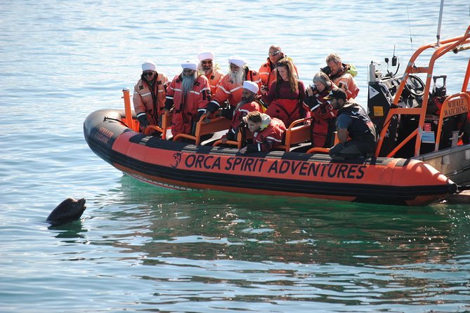 Whale Watching Tour in a Zodiac Boat in Victoria - Cancellation Policy