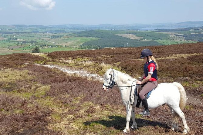 Wicklow Mountains Horse Trekking - Preparing for the Trek