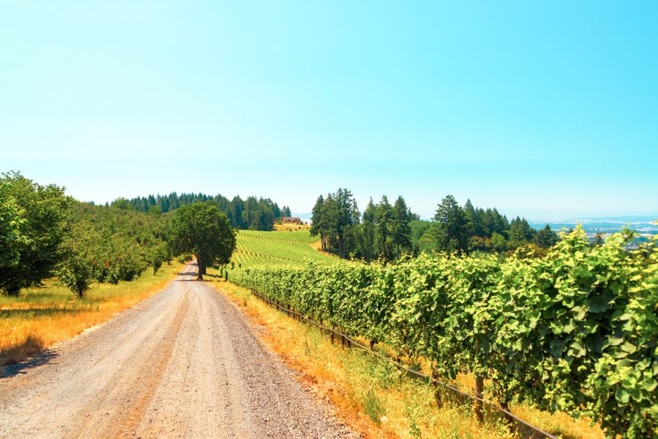 Willamette Valley Wine Tour (Tasting Fees Included) - Tour Duration