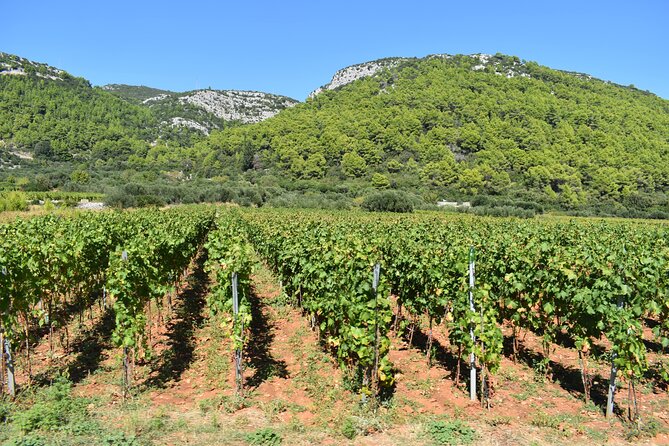 Wine & Sightseeing Tour Korcula - Panoramic Island Views