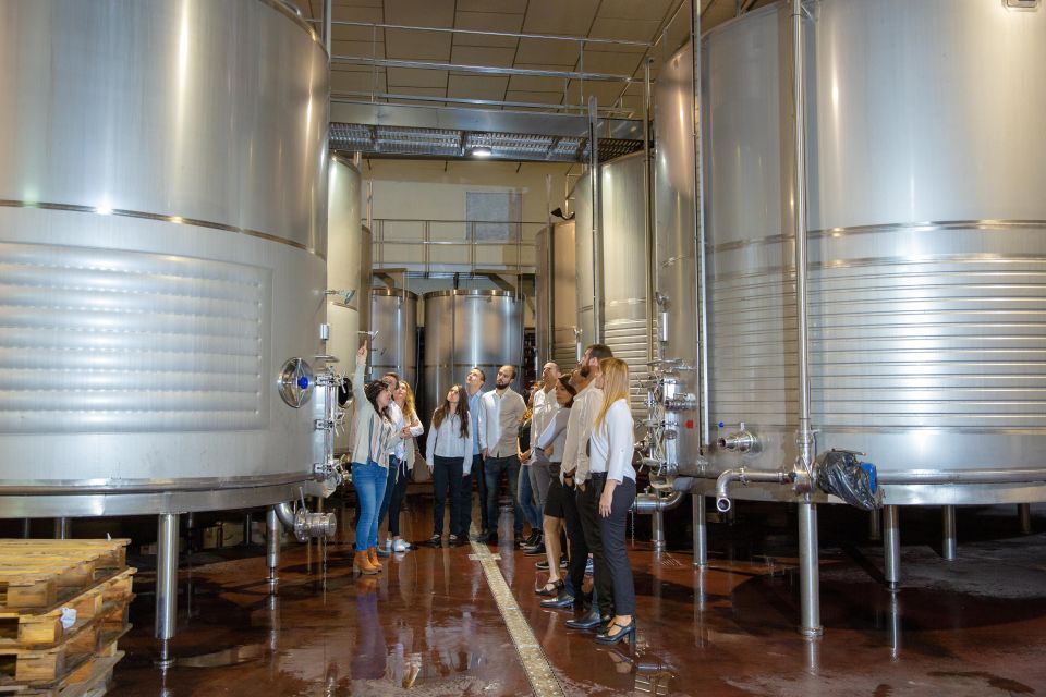 Wine Tasting in the Best Winery in Spain From Alicante - Niche Society and Oil Museum