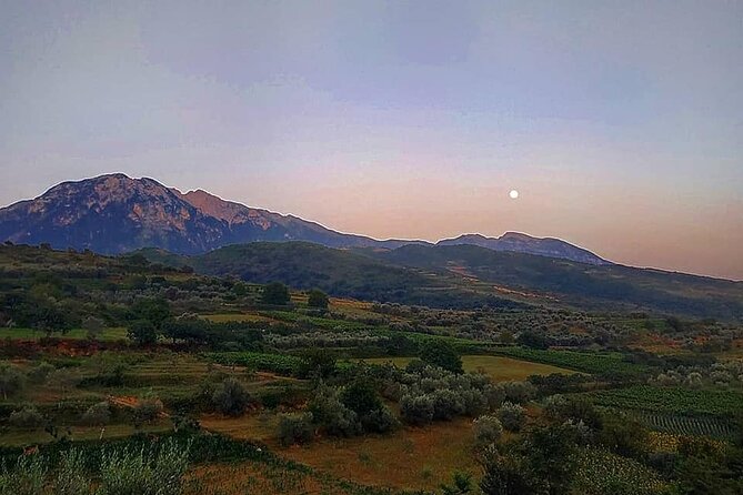 Winetasting Tour in Alpeta Winery - Roshnik Village by 1001 Albanian Adventures - Meeting Point and Pickup Details