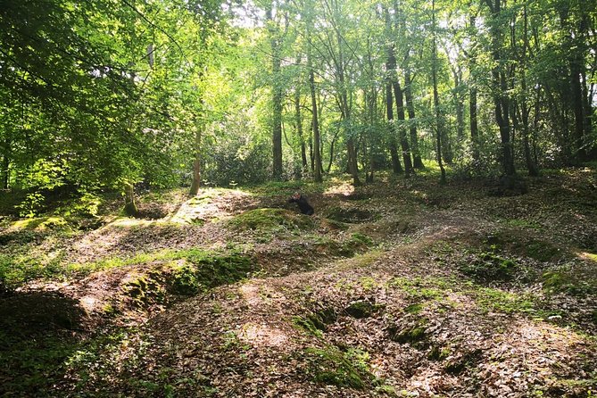 WW1 Belleau Wood and American Monument in Château-Thierry - Day Trip From Paris - Visiting Belleau Wood