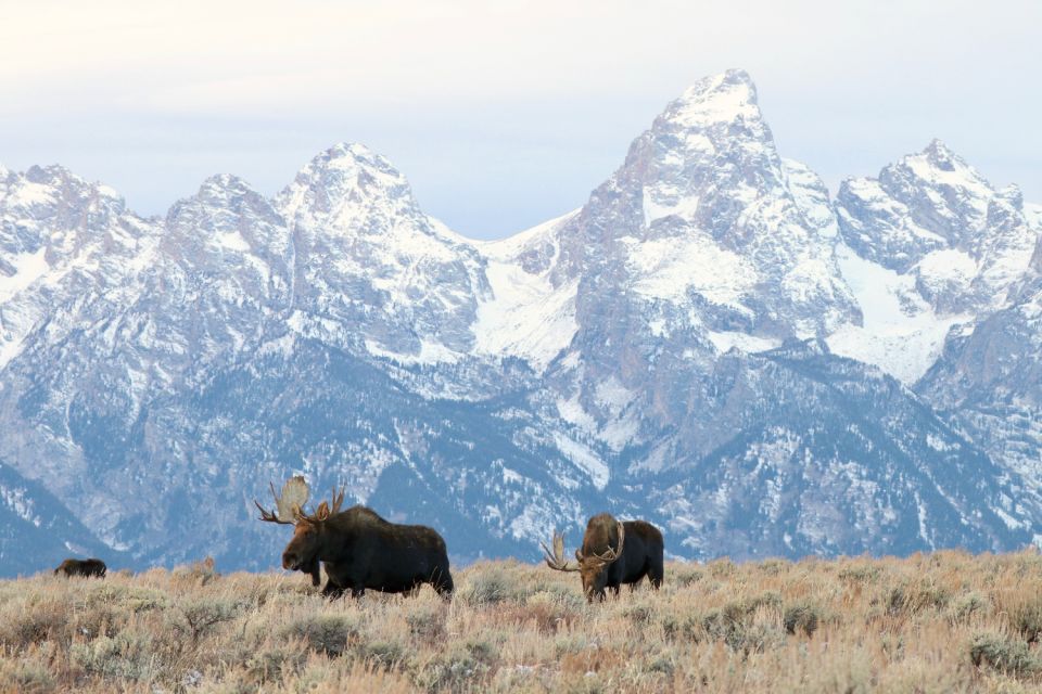 Wyoming: Grand Teton National Park Self-Guided Driving Tour - History and Landmarks