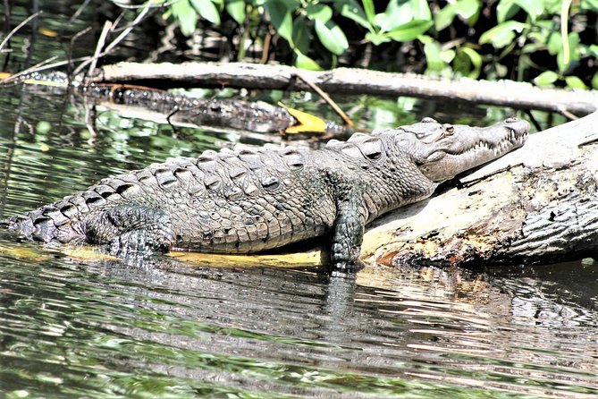 YS Falls and Black River Safari Guided Tour From Montego Bay and Grand Palladium - Tour Booking and Cancellation Information